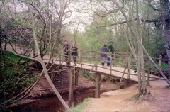 The Bridge